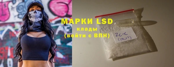 шишки Алексин