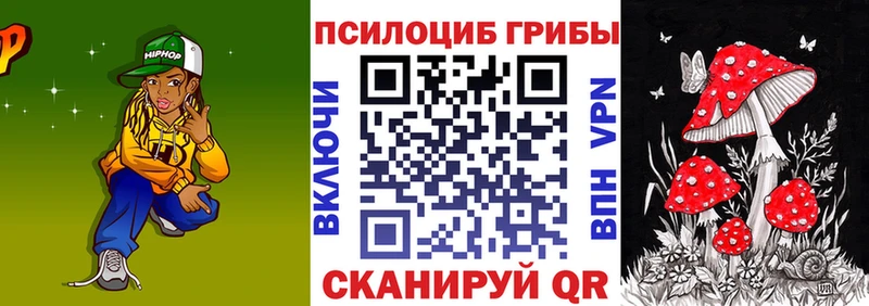 как найти наркотики  Гусиноозёрск  Псилоцибиновые грибы Psilocybe 